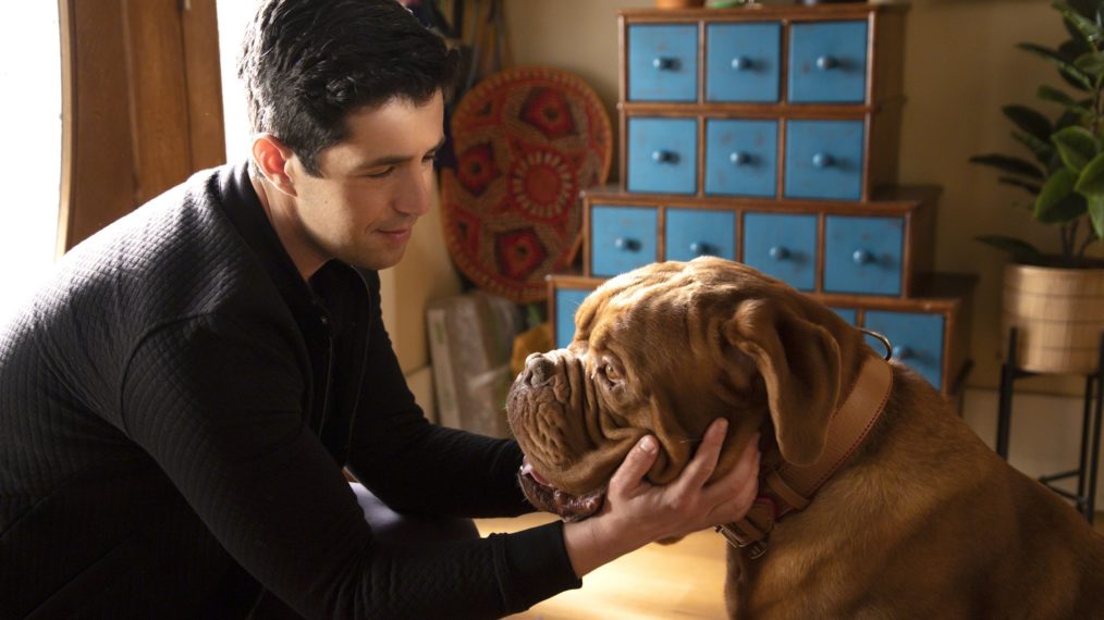 Turner & Hooch, Josh Peck as Scott Turner in Season 1 for Disney+