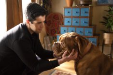 Turner & Hooch, Josh Peck as Scott Turner in Season 1 for Disney+