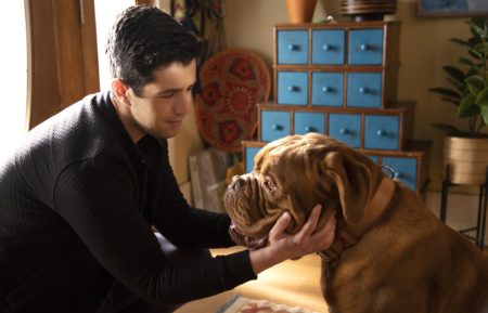 Turner & Hooch, Josh Peck as Scott Turner in Season 1 for Disney+