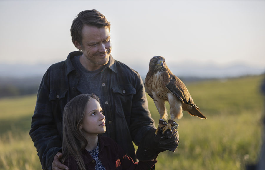 Joe Pickett Paramount+ Series Where To Watch