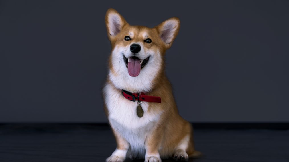 Ein