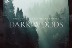 A TV Adaptation of Dick Wolf's Podcast 'Dark Woods' Is in the Works