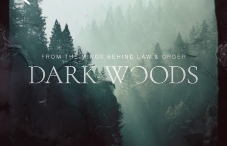 Dark Woods art