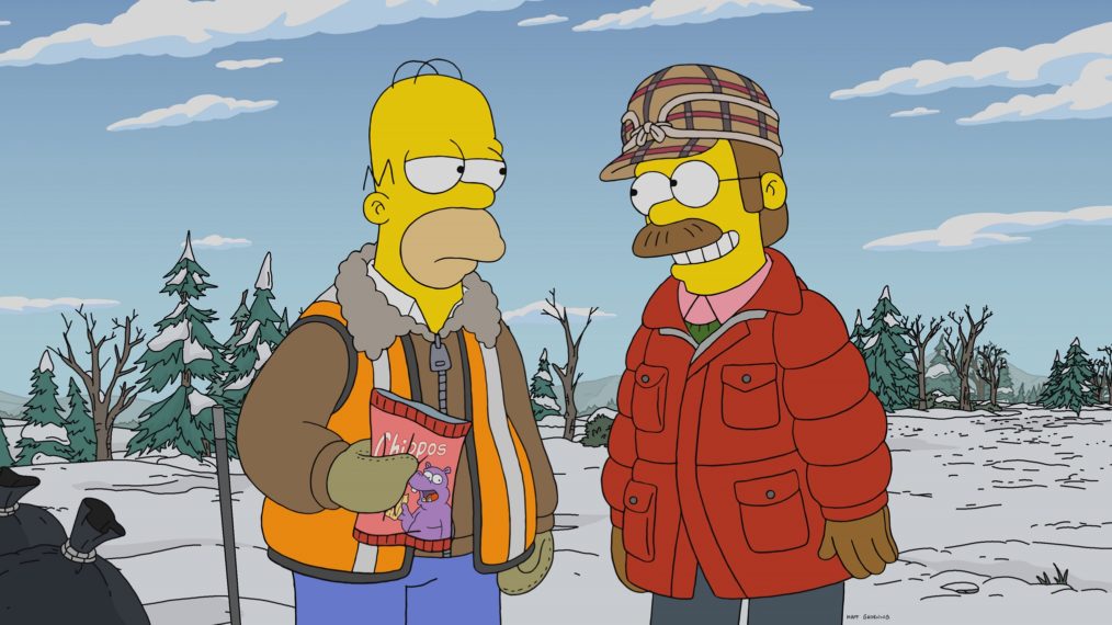 The Simpsons A Serious Flanders