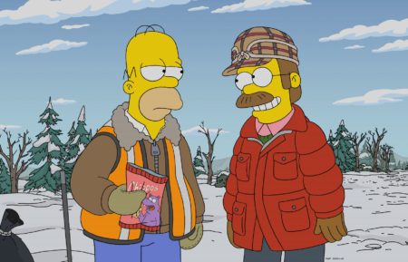 The Simpsons A Serious Flanders