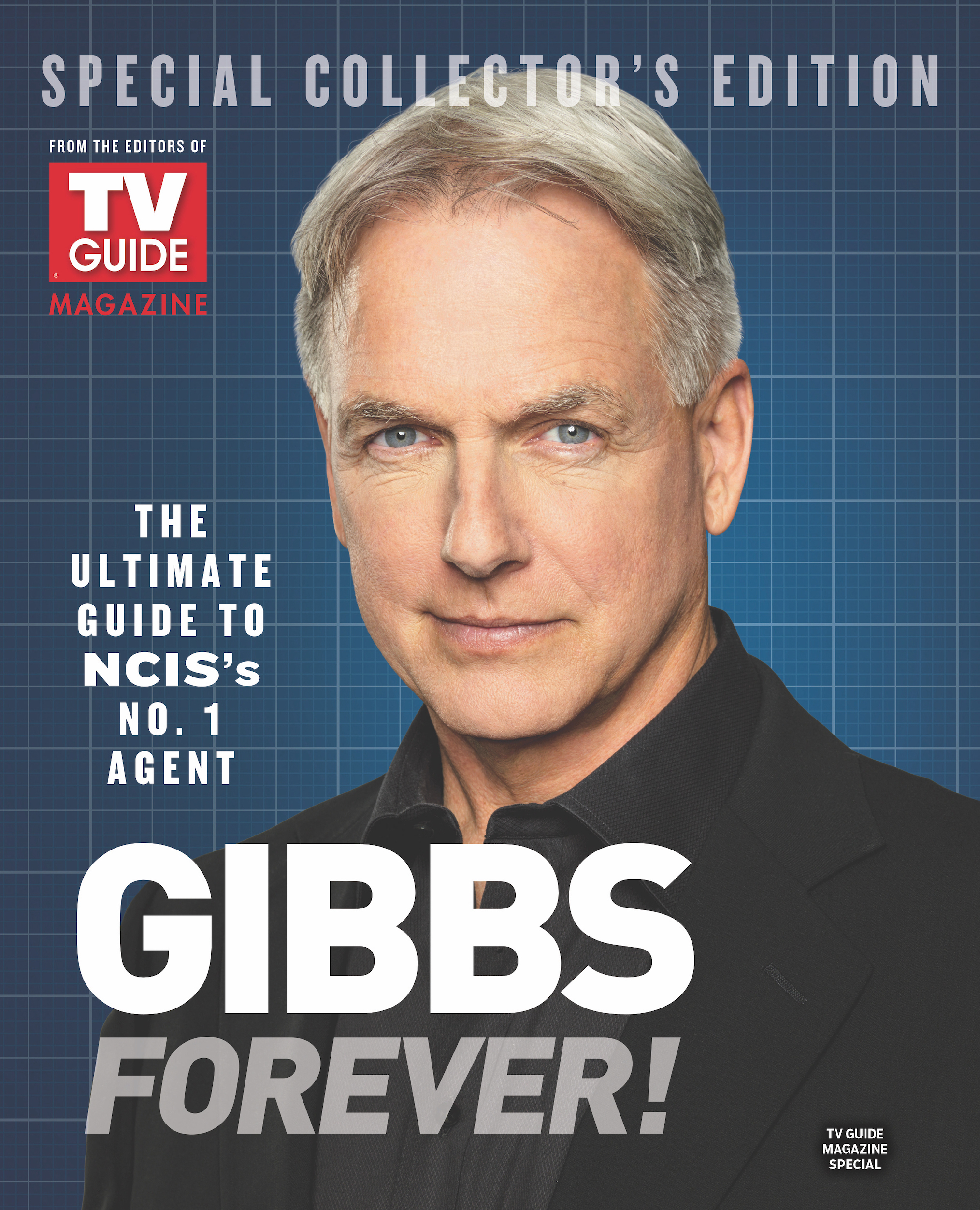 Gibbs Forever Special Issue