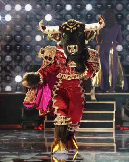 Bull in The Masked Singer Season 6