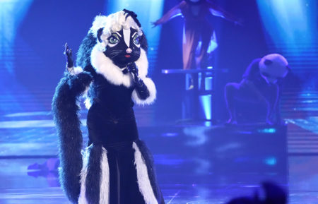 Skunk in The Masked Singer