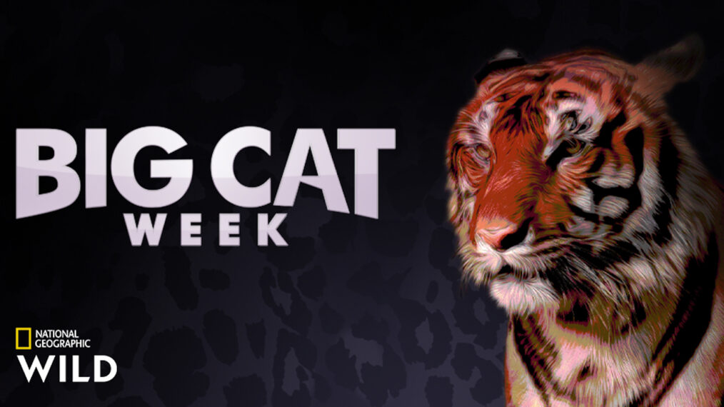 Big Cat Week