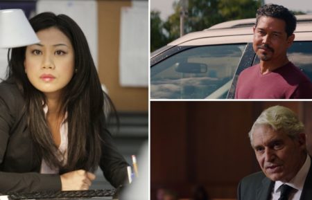 Liza Lapira in NCIS, Anthony Ruivivar in NCIS Hawaii, Michael Nouri in NCIS New Orleans