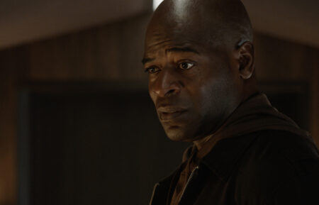 Hisham Tawfiq as Dembe Zum in The Blacklist