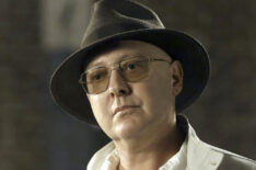 The Blacklist - James Spader as Red