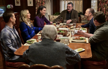 Will Estes, Vanessa Ray, Bridget Moynahan, Tom Selleck, Donnie Wahlberg in Blue Bloods