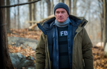 Julian McMahon as Supervisory Special Agent Jess LaCroix in FBI Most Wanted