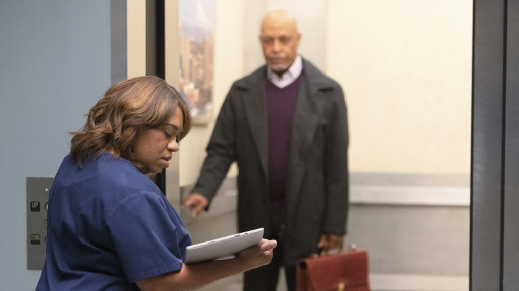 Chandra Wilson as Bailey, James Pickens Jr. as Richard in Grey's Anatomy