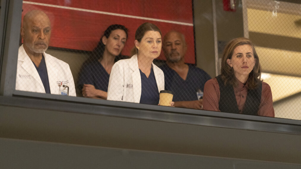 James Pickens Jr., Ellen Pompeo, E.R. Fightmaster in Grey's Anatomy