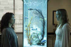 Sandra Oh as Eve Polastri and Jodie Comer as Villanelle with a fish tank between them in Killing Eve