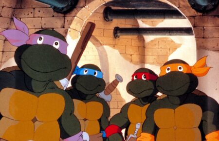 Teenage Mutant Ninja Turtles