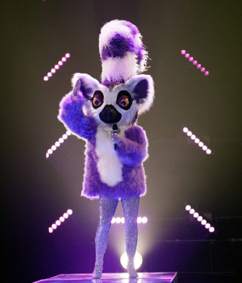 Lemur in The Masked Singer