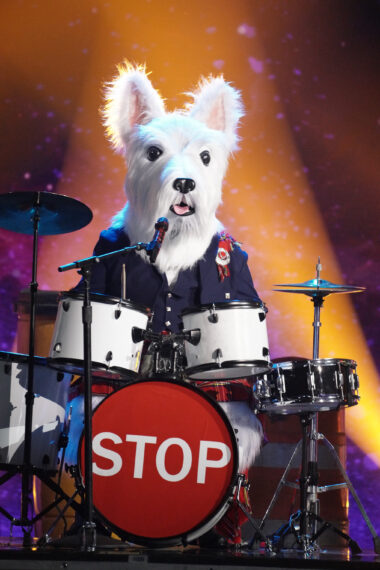 McTerrier in The Masked Singer