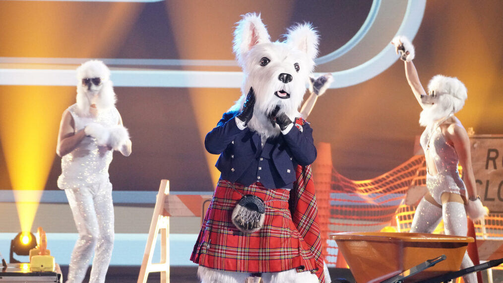 McTerrier in The Masked Singer