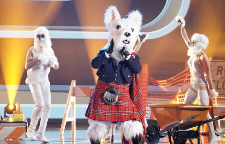 McTerrier in The Masked Singer