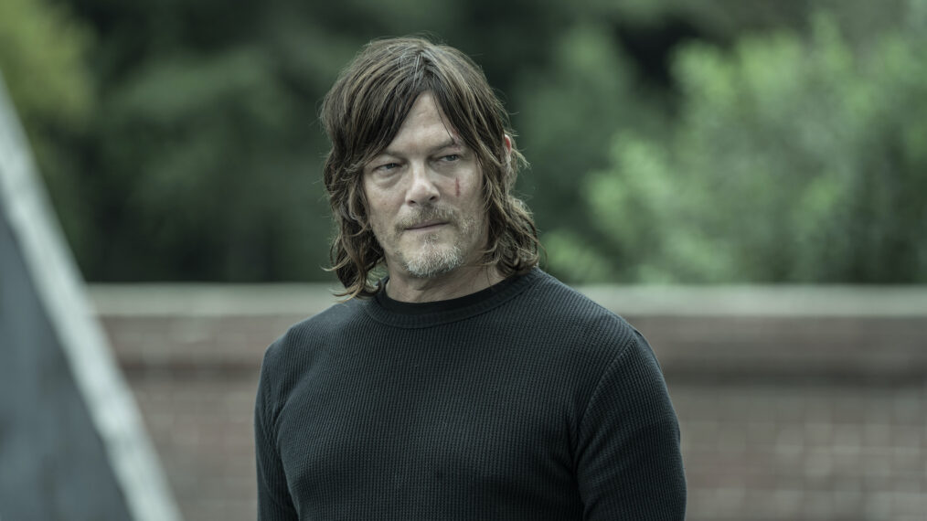 the walking dead, Norman Reedus as Daryl Dixon