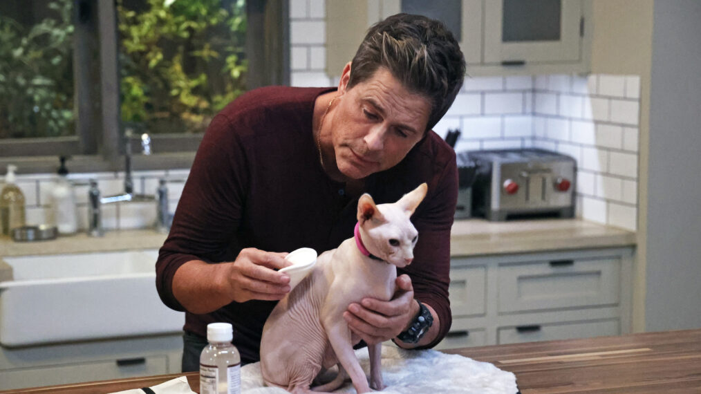 Rob Lowe as Owen in 9-1-1 Lone Star - hairless cat