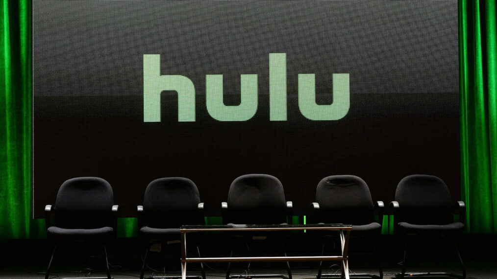 #What’s in a Name? Hulu, Roku, and 9 Other TV Brands Explained