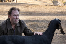 Stephen Root as Fuches with a goat in Barry on HBO
