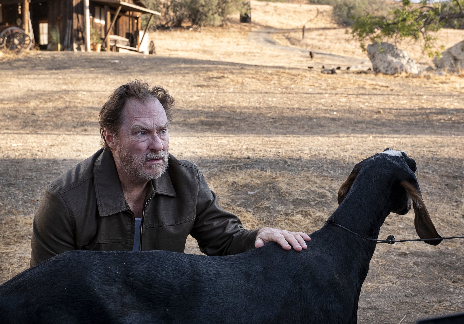 Stephen Root, Fuches, Barry, HBO