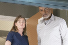 Grey's Anatomy - Ellen Pompeo and James Pickens Jr.