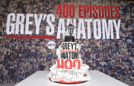 Grey's Anatomy 400th Episode Celebration Cake