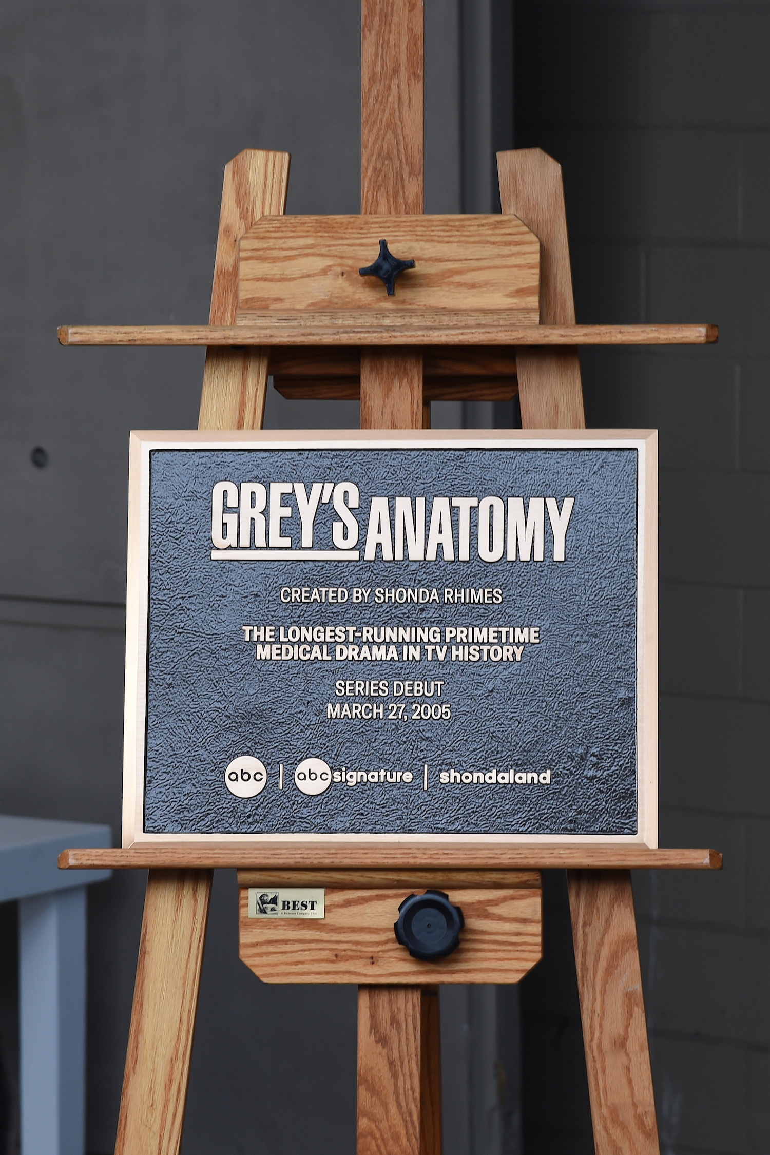 Grey's Anatomy 400th Episode Celebration Plaque
