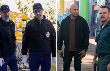 Gary Cole, Sean Murray in NCIS, LL Cool J, Chris O'Donnell in NCIS LA