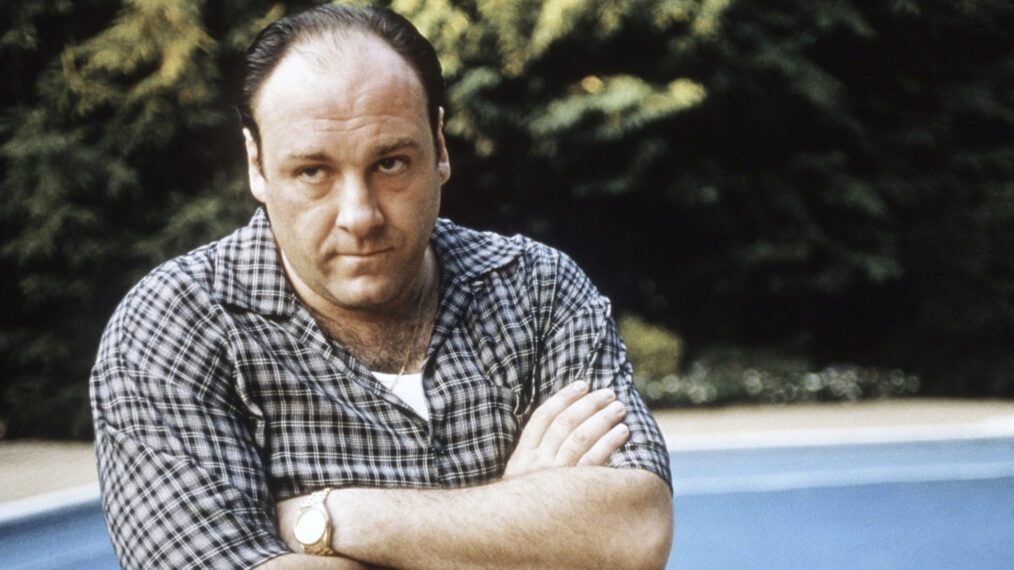 The Sopranos - James Gandolfini as Tony Soprano