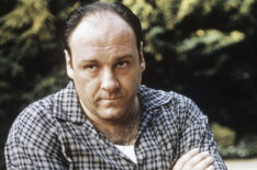 The Sopranos - James Gandolfini as Tony Soprano