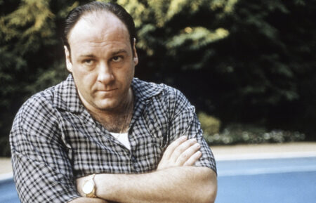 The Sopranos - James Gandolfini as Tony Soprano