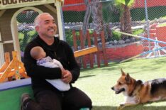 Cesar Millan Better Human Better Dog Journey the Corgi
