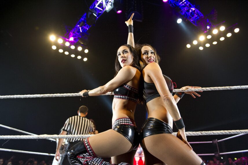 Nikki and Brie Bella