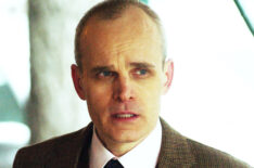 Damages - Željko Ivanek as Ray Fiske