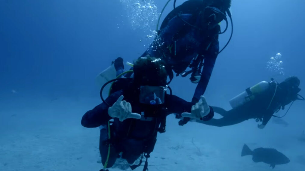 ‘Jackass’ Stuntman Poopies Returns to ‘Shark Week’ After Gruesome Attack (VIDEO)