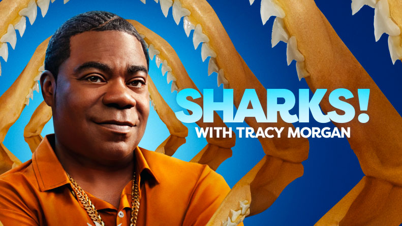 Sharks! with Tracy Morgan - Discovery Channel