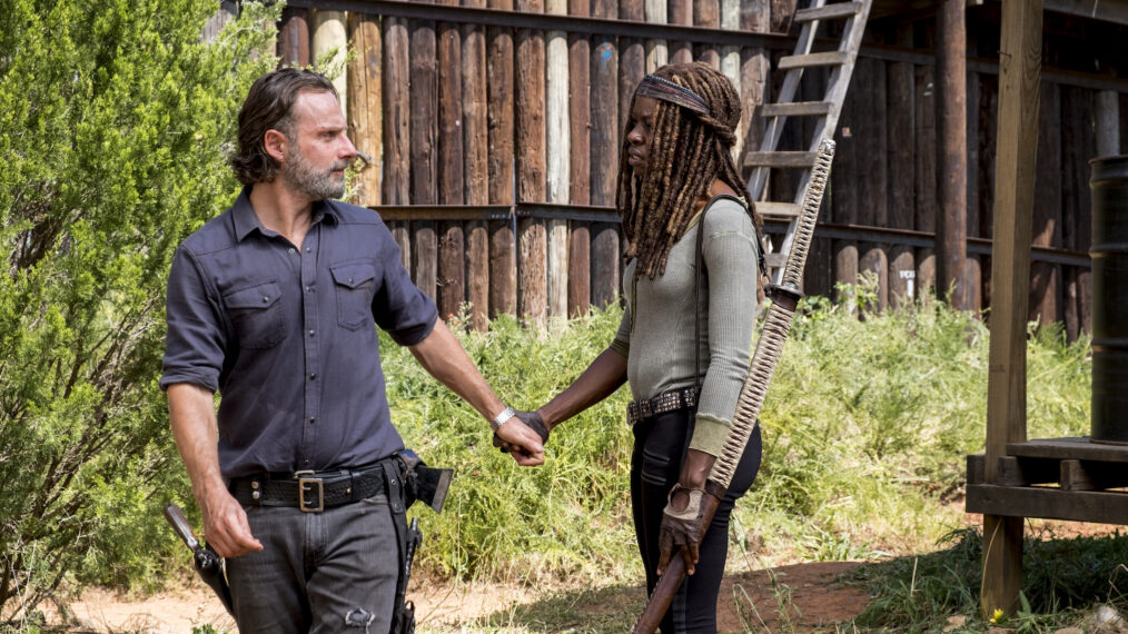 Andrew Lincoln as Rick Grimes, Danai Gurira as Michonne in The Walking Dead