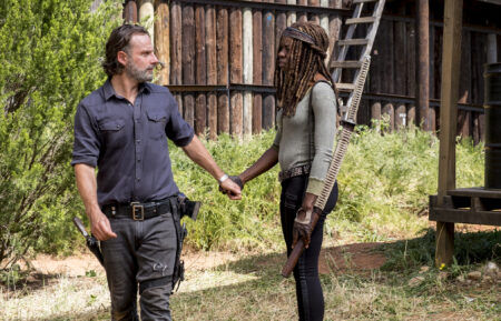 Andrew Lincoln as Rick Grimes, Danai Gurira as Michonne in The Walking Dead