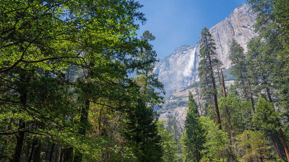 #Tour America’s National Parks, ‘Bachelorette’ Men Tell All, the U.S. Open Begins, Lacrosse Grows Up