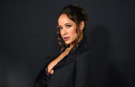 Dania Ramirez - Los Angeles Premiere Of Netflix's 