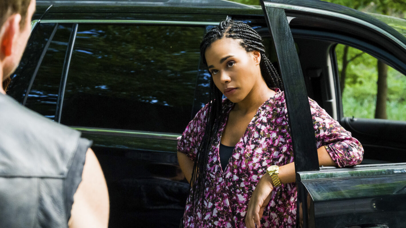 Roxy Sternberg as Special Agent Sheryll Barnes in FBI: Most Wanted
