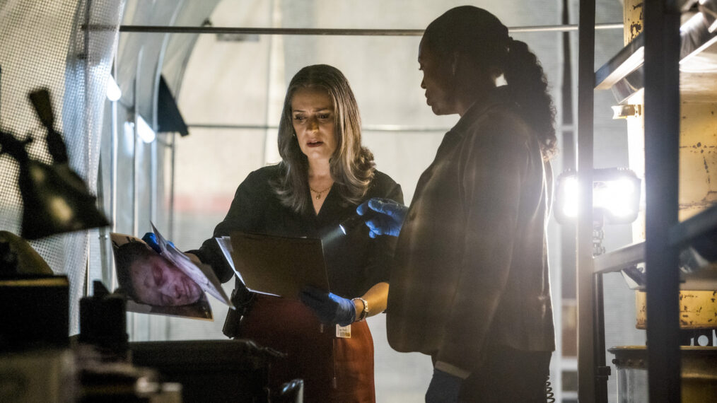 'Criminal Minds Evolution' Sets Premiere Date & RollOut Schedule
