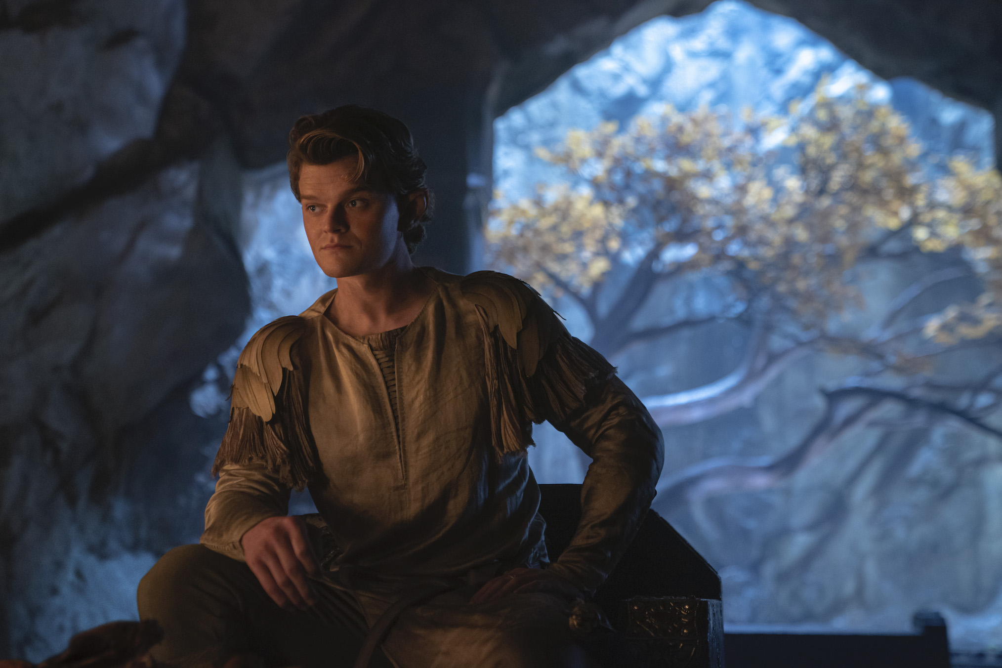 Robert Aramayo in in The Lord of the Rings: The Rings of Power